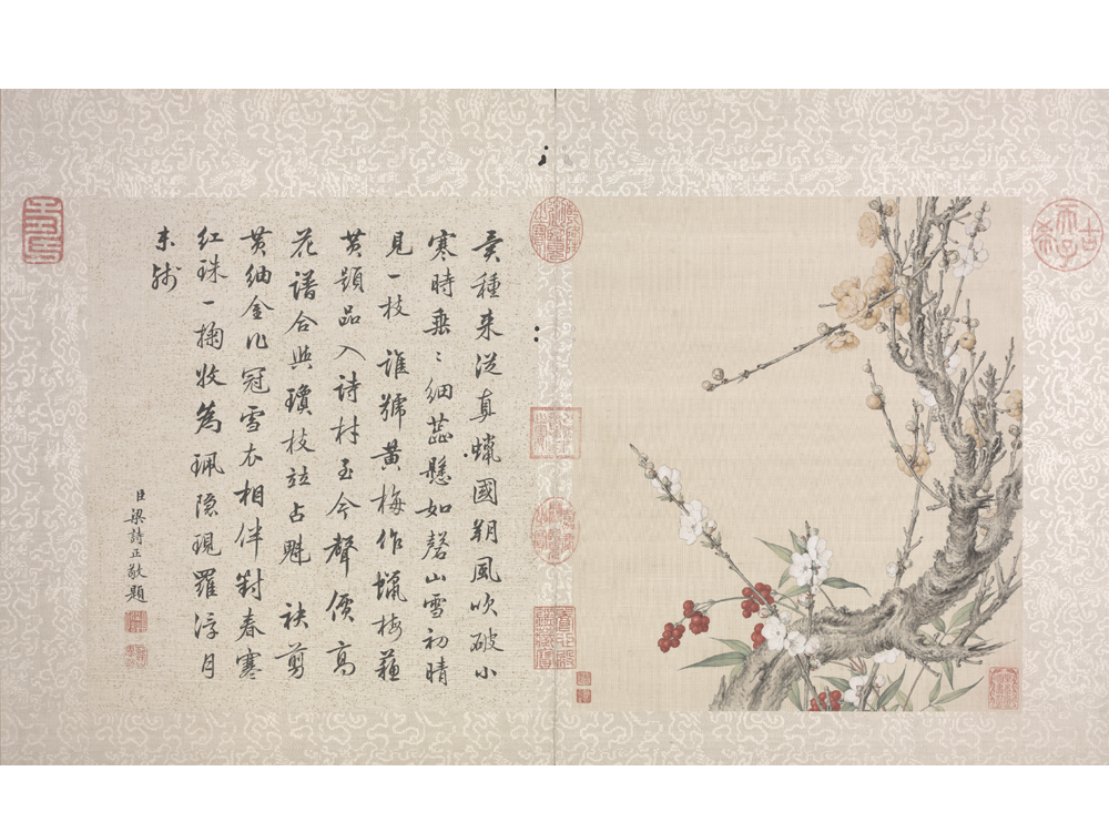 图片[10]-Lang Shining Flowers and Birds Illustrated Books-China Archive